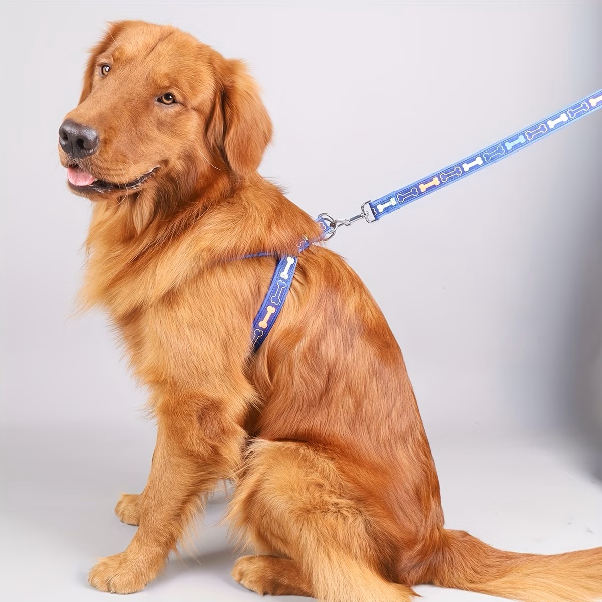 Adjustable Dog Harness with Qu - D Ring Strap reseña y precio