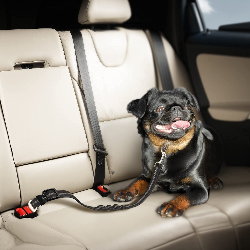 Retractable Dog Car Harness Se - Snap Fastener Set reseña y precio