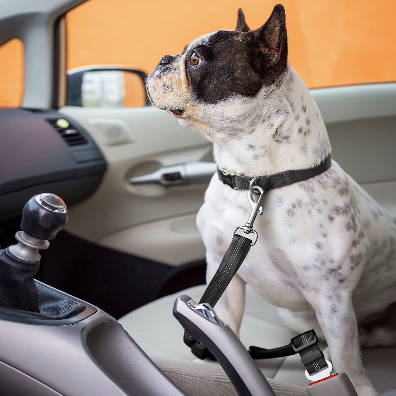 Retractable Dog Car Harness Se - Snap Fastener Set reseña y precio